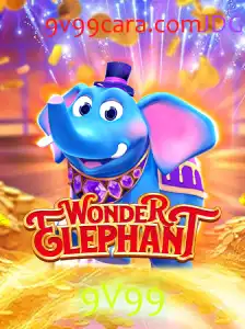 Descubra o Mundo de WonderElephant